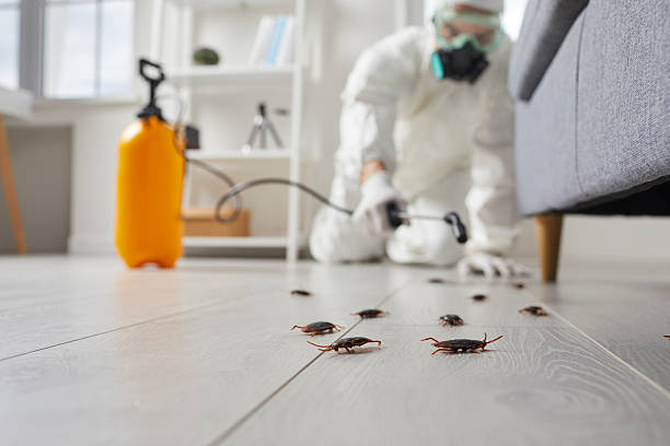 Post-Treatment Bed Bug Interceptor Monitoring in Lake Meade
