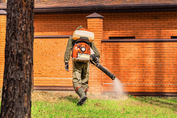 Bed Bug Clearance Verification and Documentation in Lake Meade